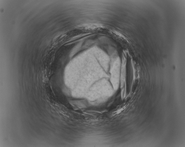 X0000068820965200605261546