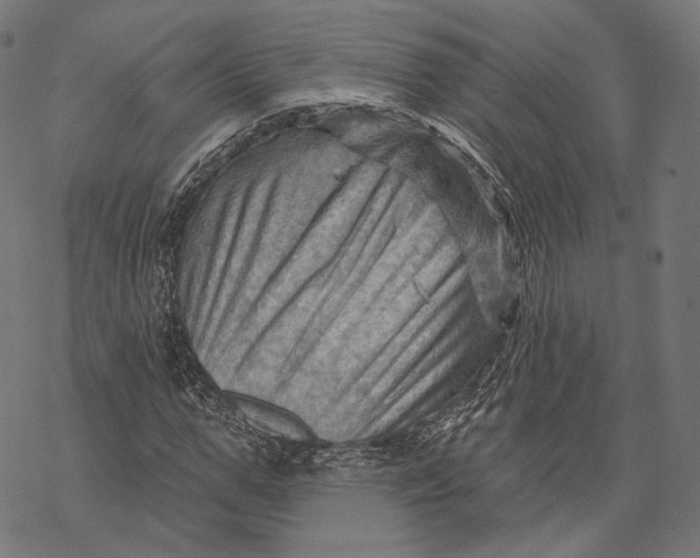 X0000068820967200605261546
