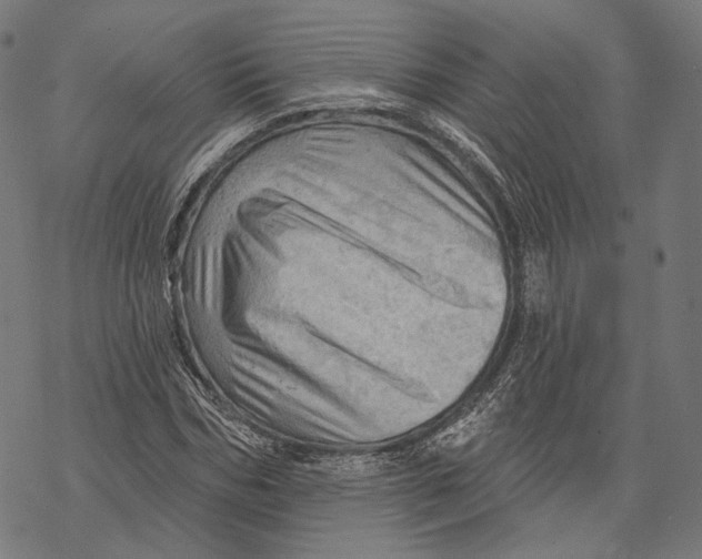 X0000068820970200605261546