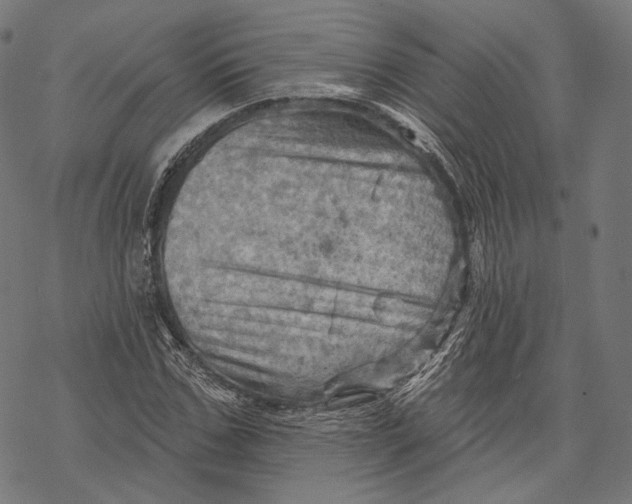 X0000068820971200605261546