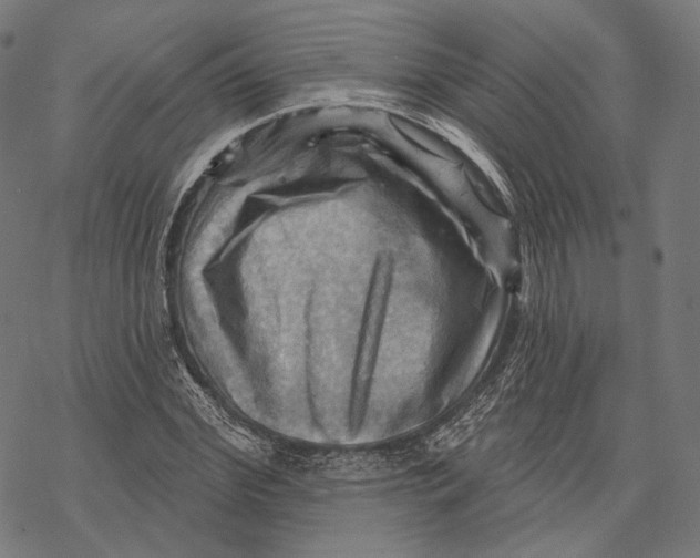 X0000068820972200605261546