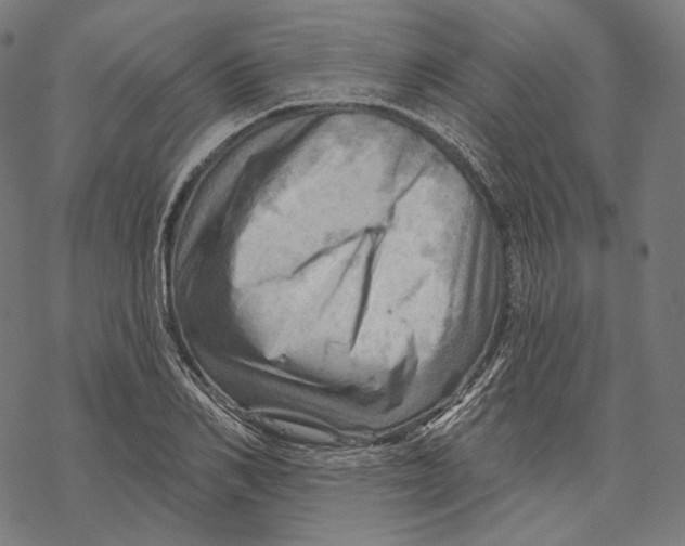 X0000068820982200605261546