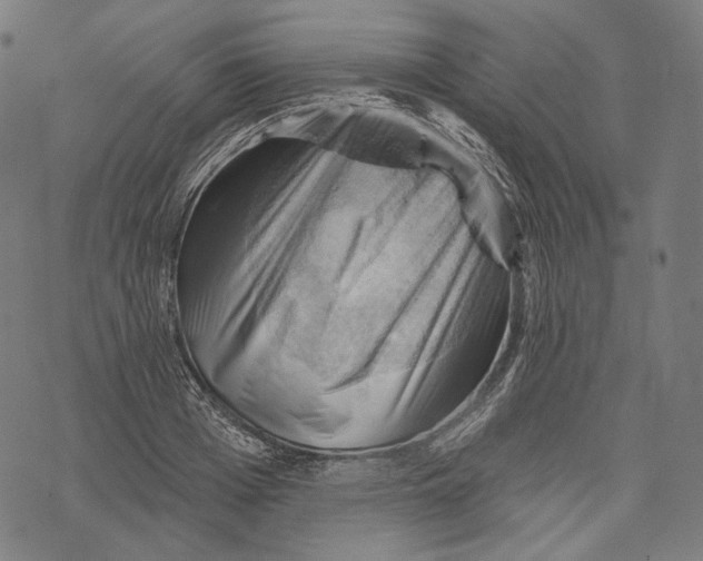 X0000068820985200605261546