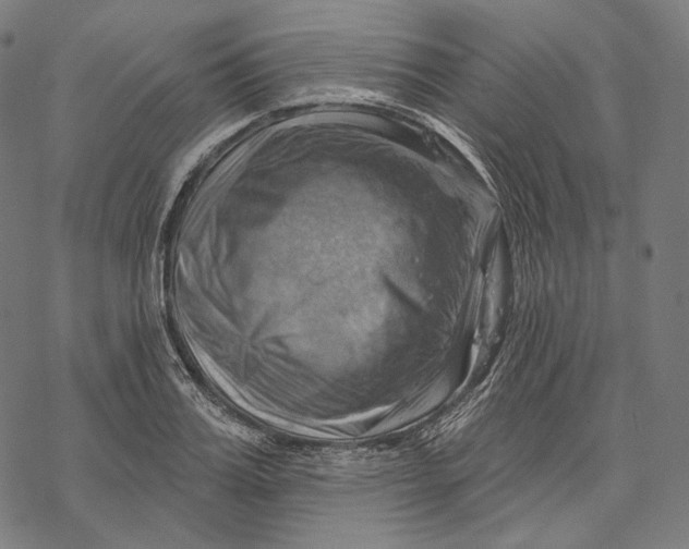 X0000068820987200605261546