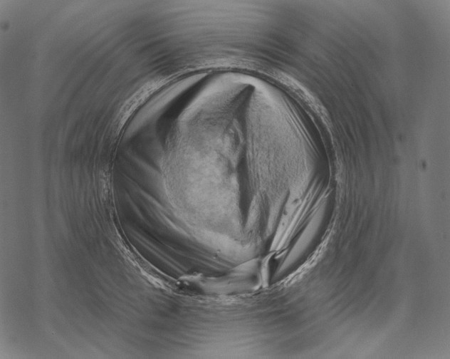 X0000068820993200605261546