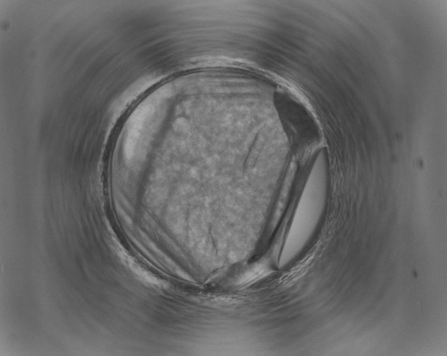 X0000068820995200605261546
