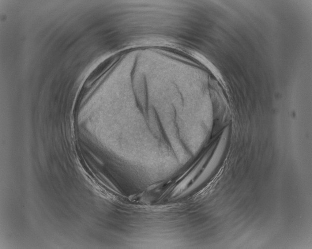 X0000068820996200605261546