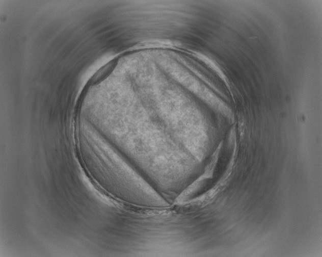 X0000068821003200605261546