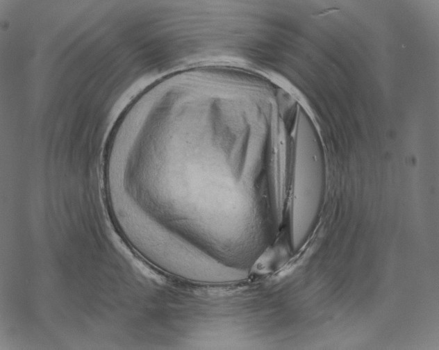 X0000068821005200605261546