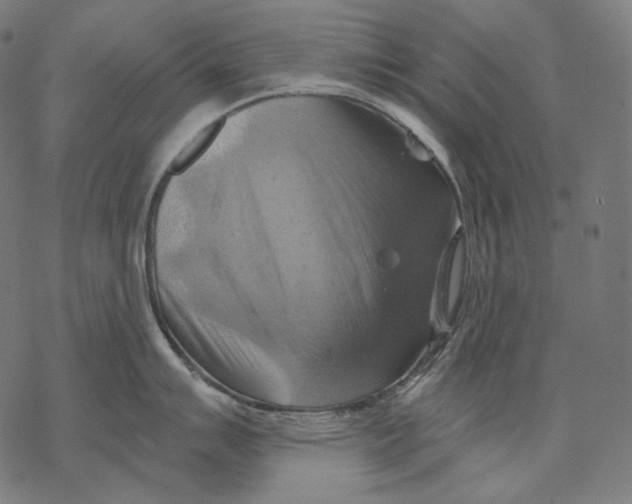 X0000068821007200605261546