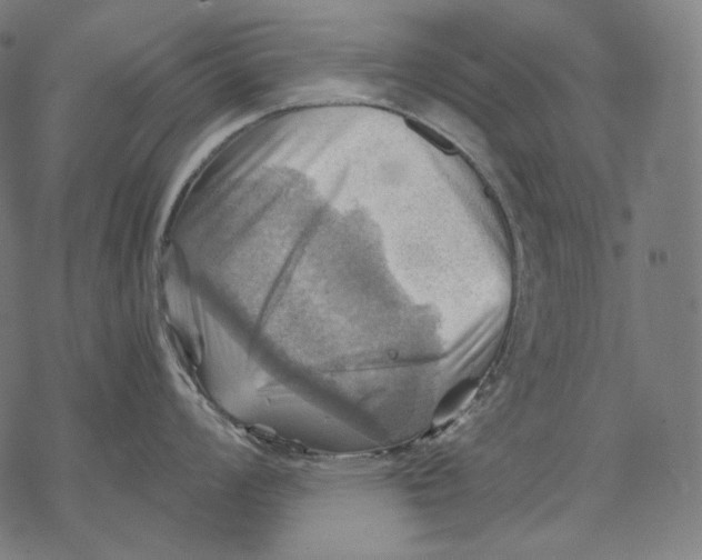 X0000068821008200605261546