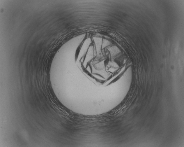 X0000068821010200605261545