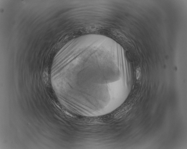 X0000068821011200605261545