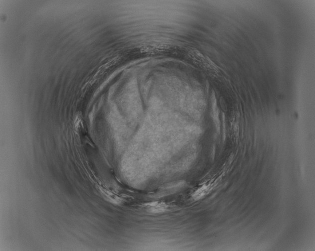 X0000068821012200605261545