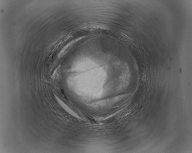 X0000068821014200605261545