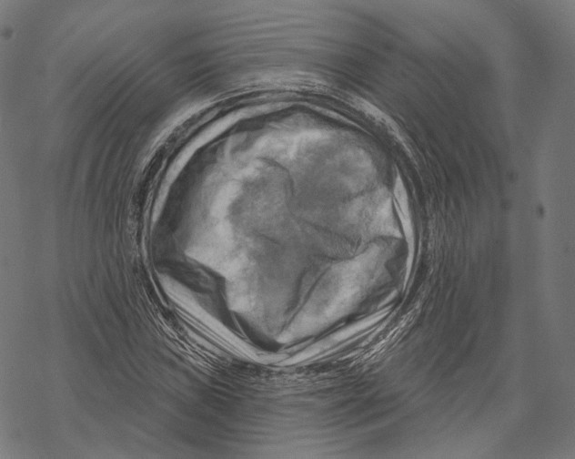 X0000068821019200605261545
