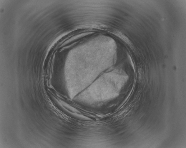 X0000068821020200605261545