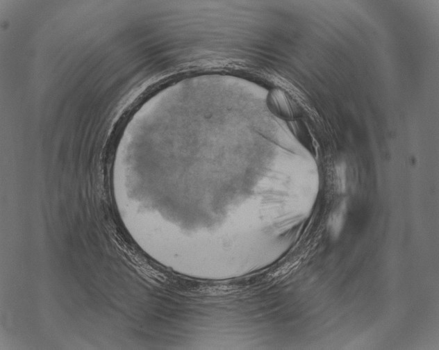 X0000068821023200605261545