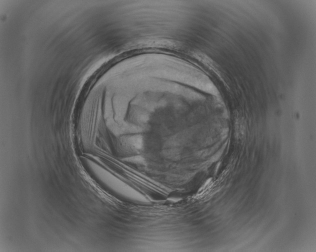X0000068821024200605261545