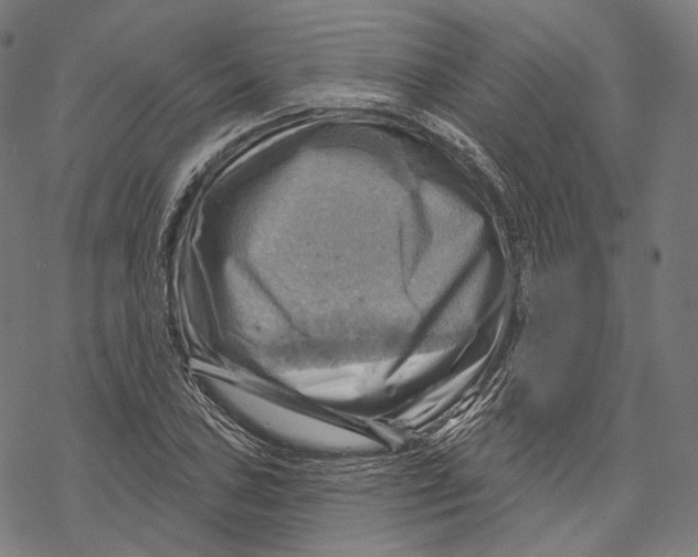 X0000068821027200605261545