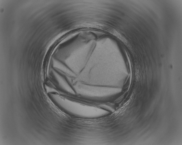 X0000068821028200605261545