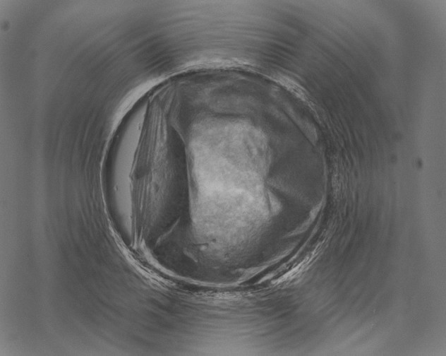 X0000068821030200605261545