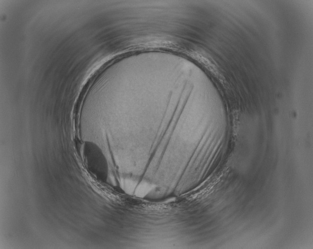X0000068821031200605261545