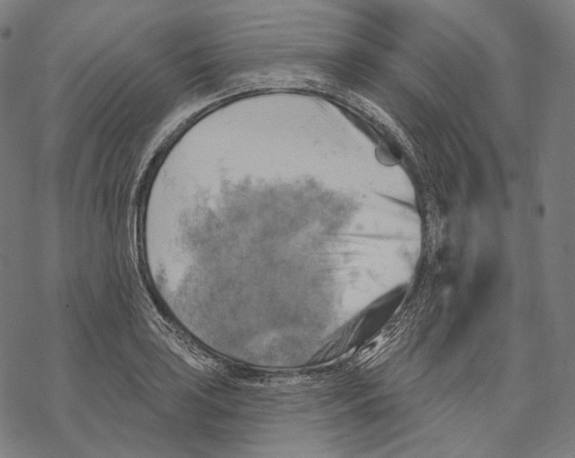 X0000068821035200605261545