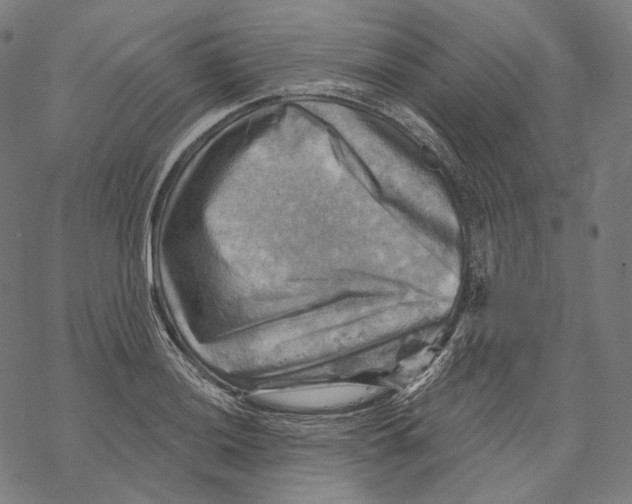 X0000068821036200605261545