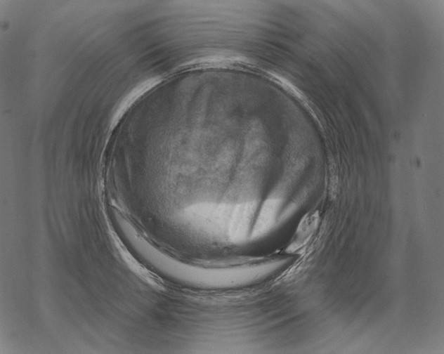 X0000068821042200605261545