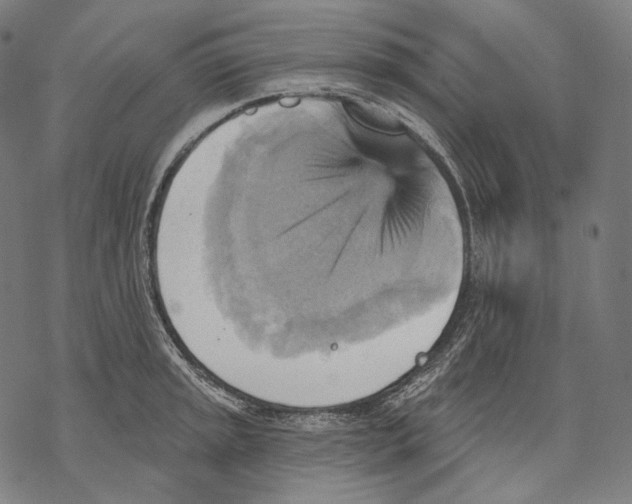 X0000068821045200605261545