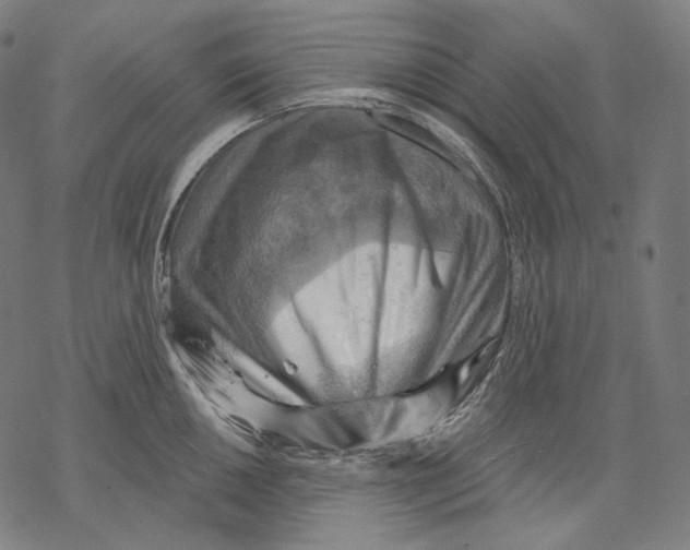 X0000068821050200605261546