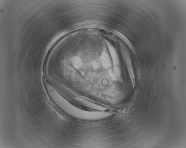 X0000068821051200605261546