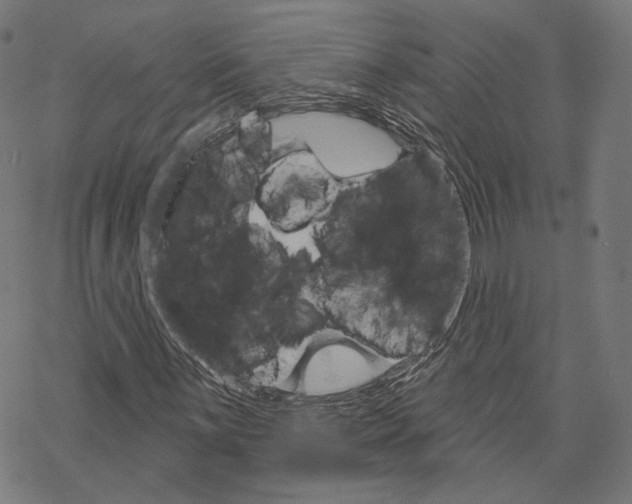 X0000068821059200605261545