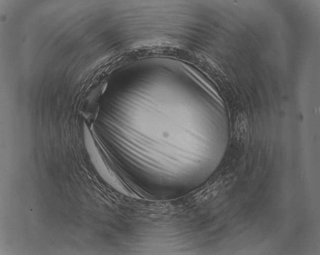 X0000068821062200605261545