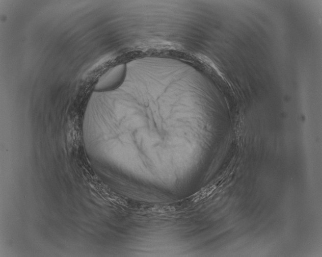 X0000068821063200605261545