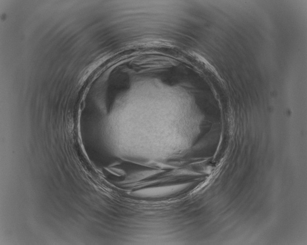 X0000068821065200605261545