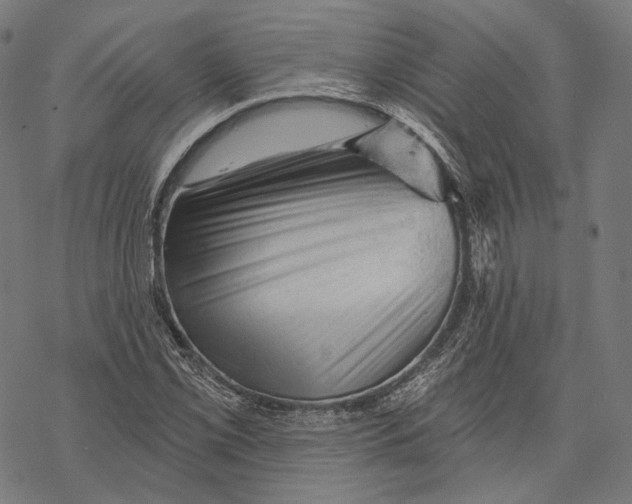 X0000068821069200605261545