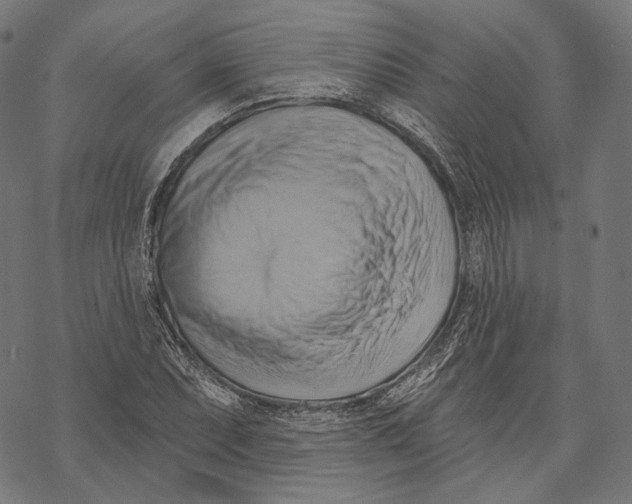 X0000068821071200605261545