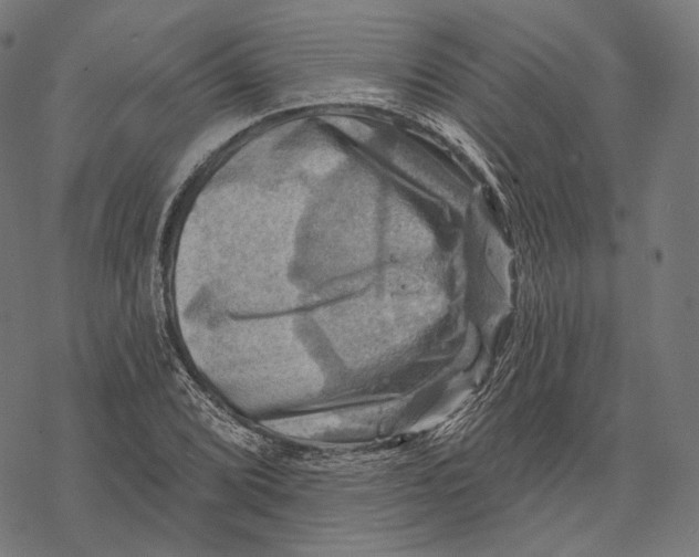 X0000068821072200605261545
