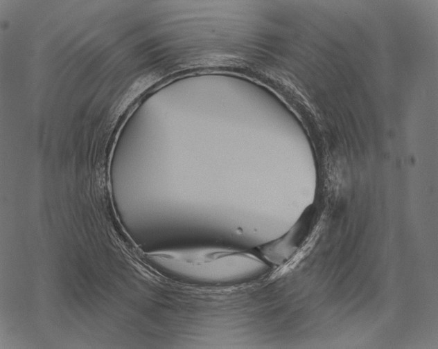 X0000068821073200605261545