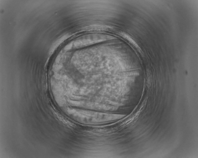 X0000068821075200605261545