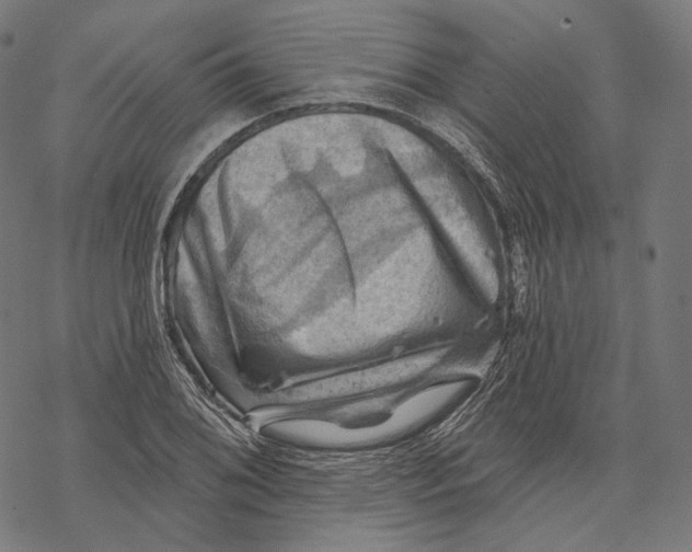 X0000068821076200605261545