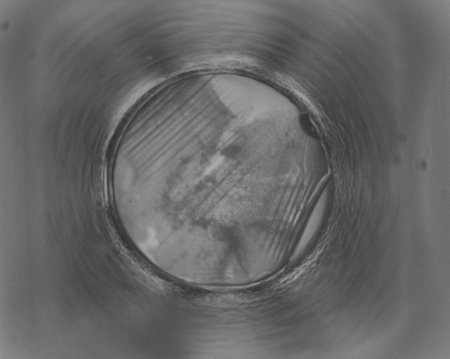 X0000068821079200605261545
