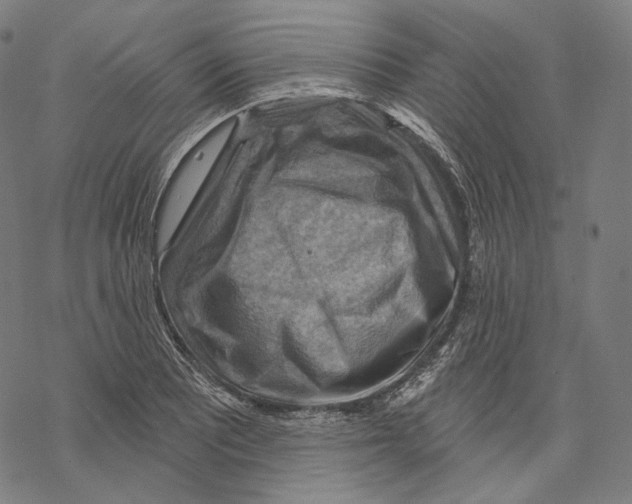 X0000068821081200605261545