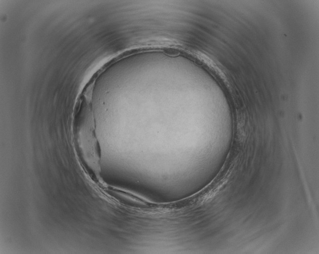 X0000068821085200605261544