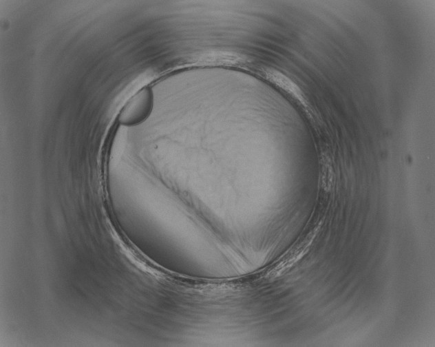 X0000068821087200605261544