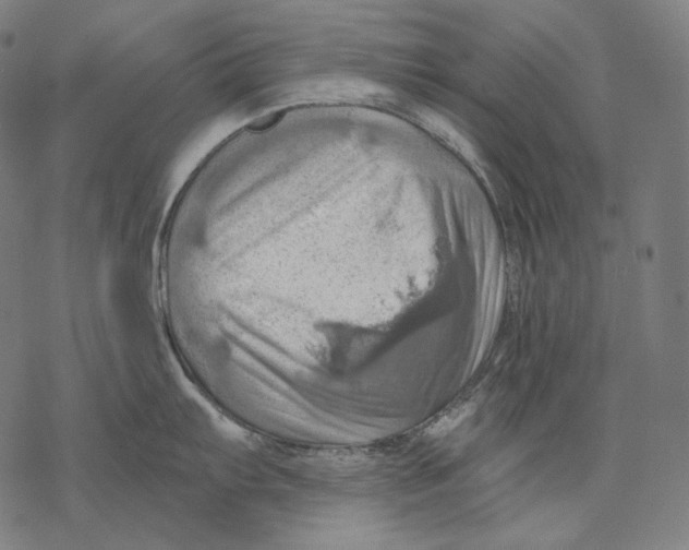 X0000068821103200605261544