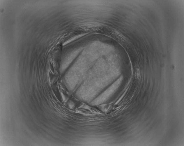 X0000068821108200605261543