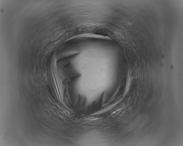 X0000068821109200605261543